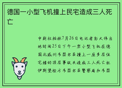 德国一小型飞机撞上民宅造成三人死亡