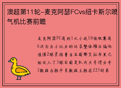 澳超第11轮-麦克阿瑟FCvs纽卡斯尔喷气机比赛前瞻